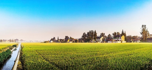 農機裝備產業升級為淮安區現代農業插上騰飛“翅膀”