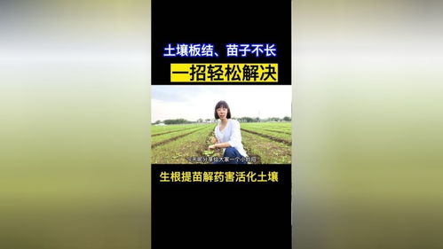告別土壤板結(jié)與苗黃苗弱 洋蔥大蔥種植難題一站式解決方案